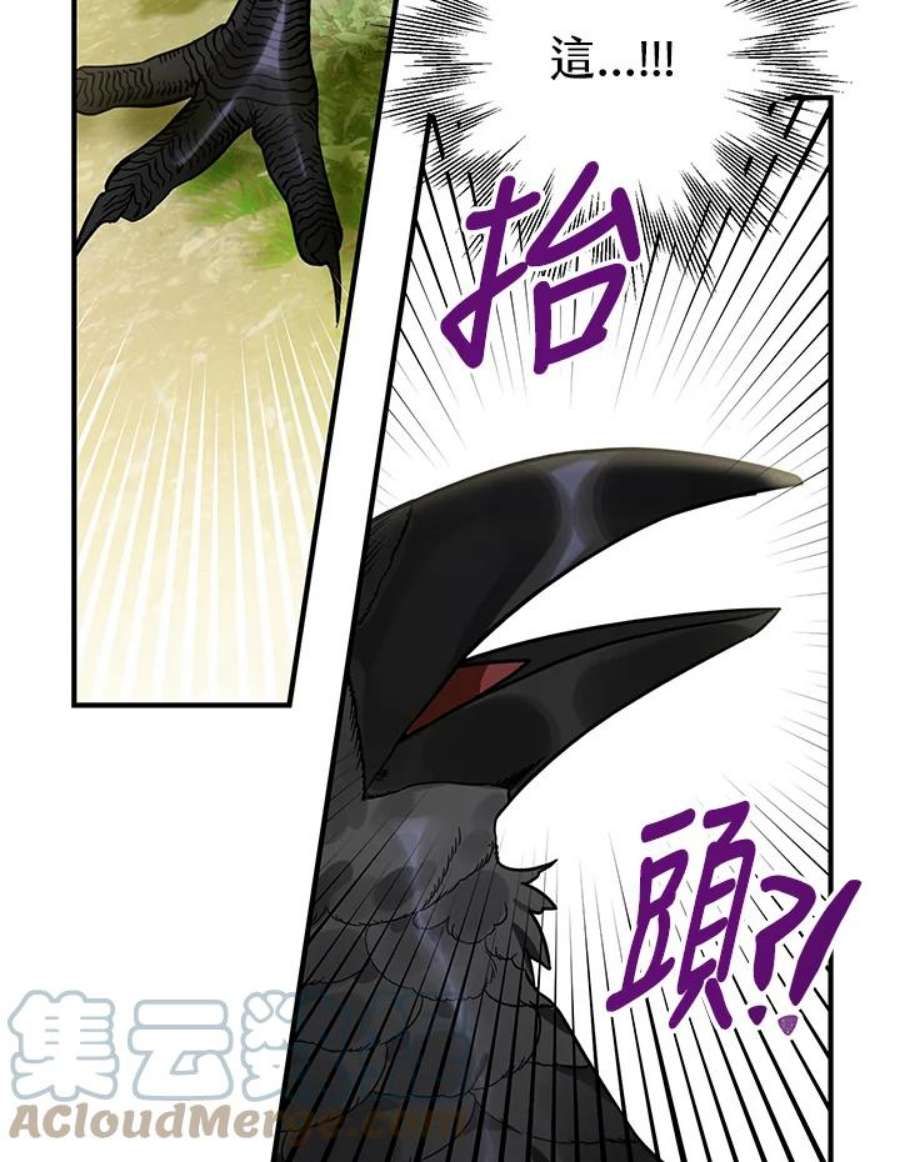 偏偏变成了乌鸦1话