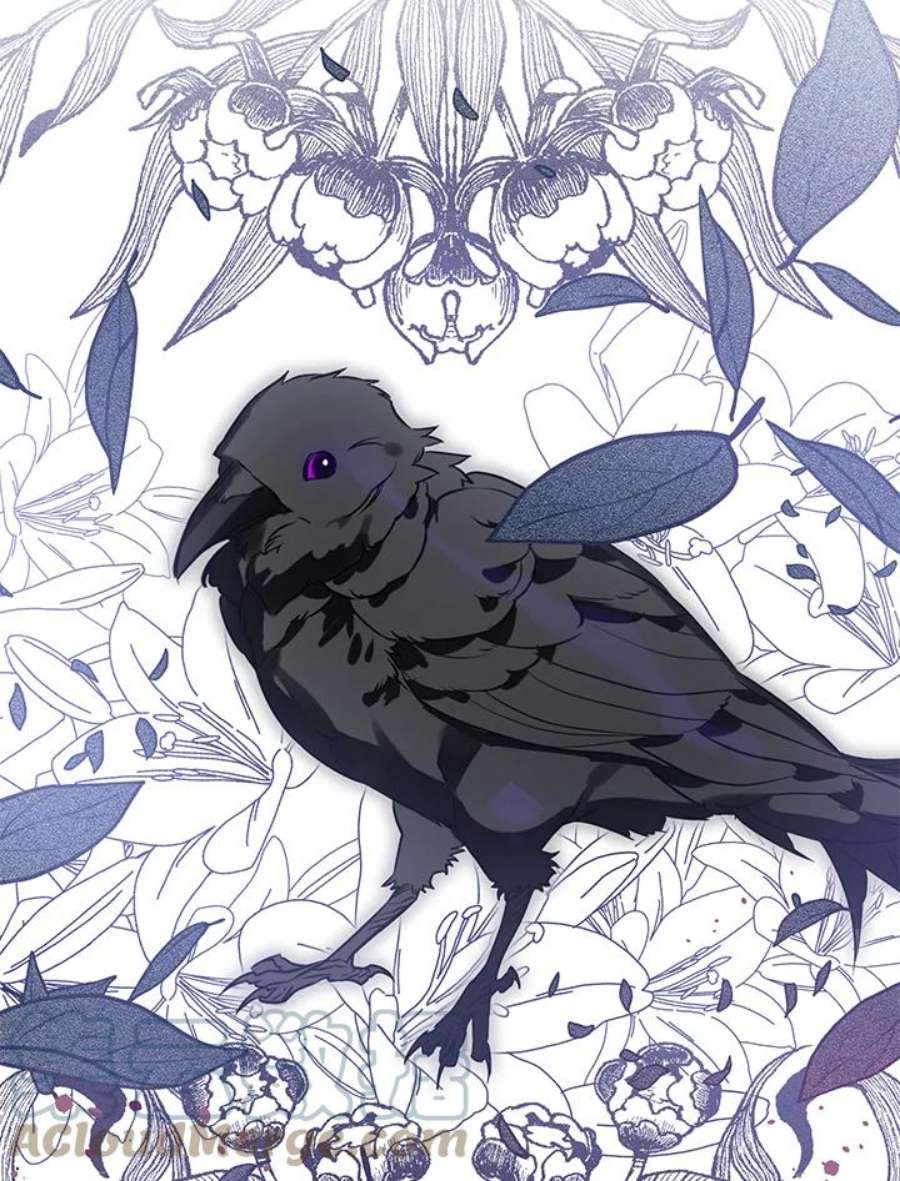 偏偏变成了乌鸦2话