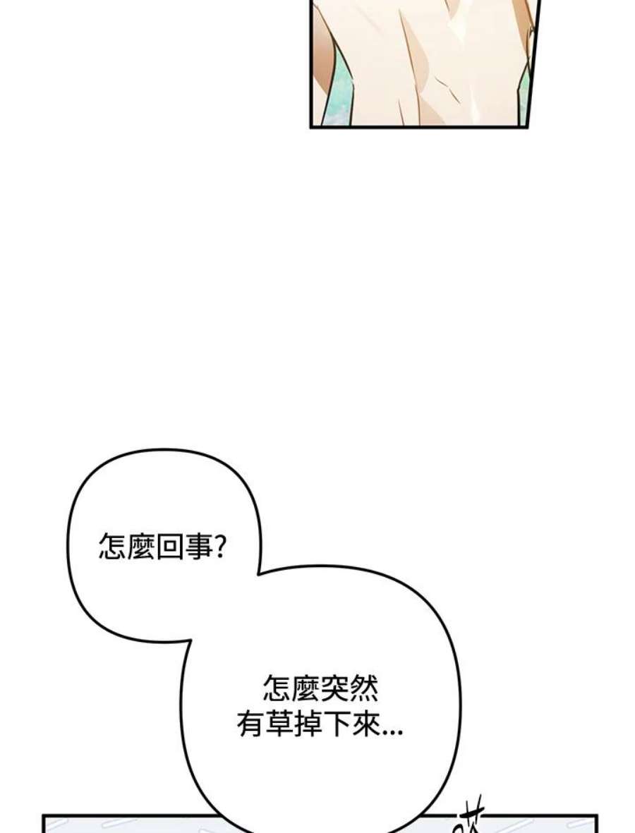 偏偏变成了乌鸦2话