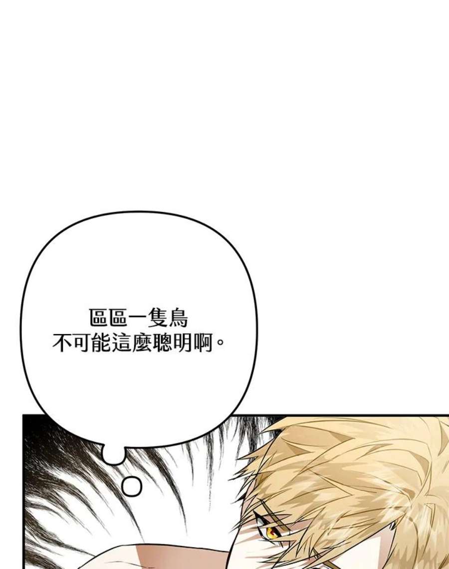 偏偏变成了乌鸦2话