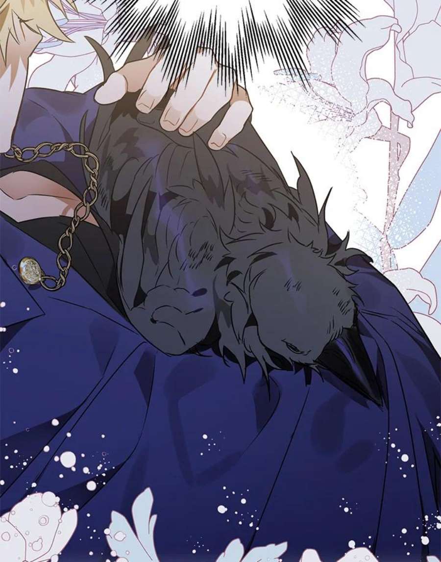 偏偏变成了乌鸦4话