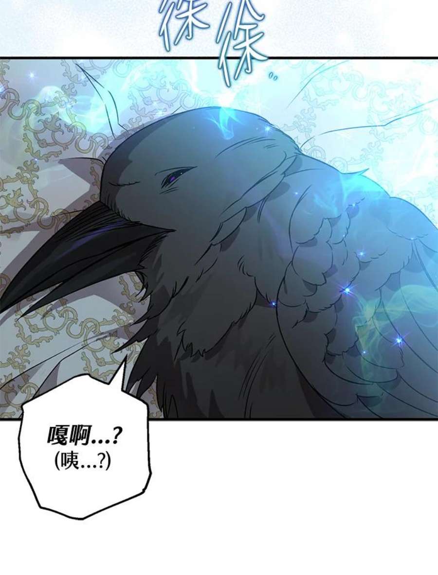 偏偏变成了乌鸦4话