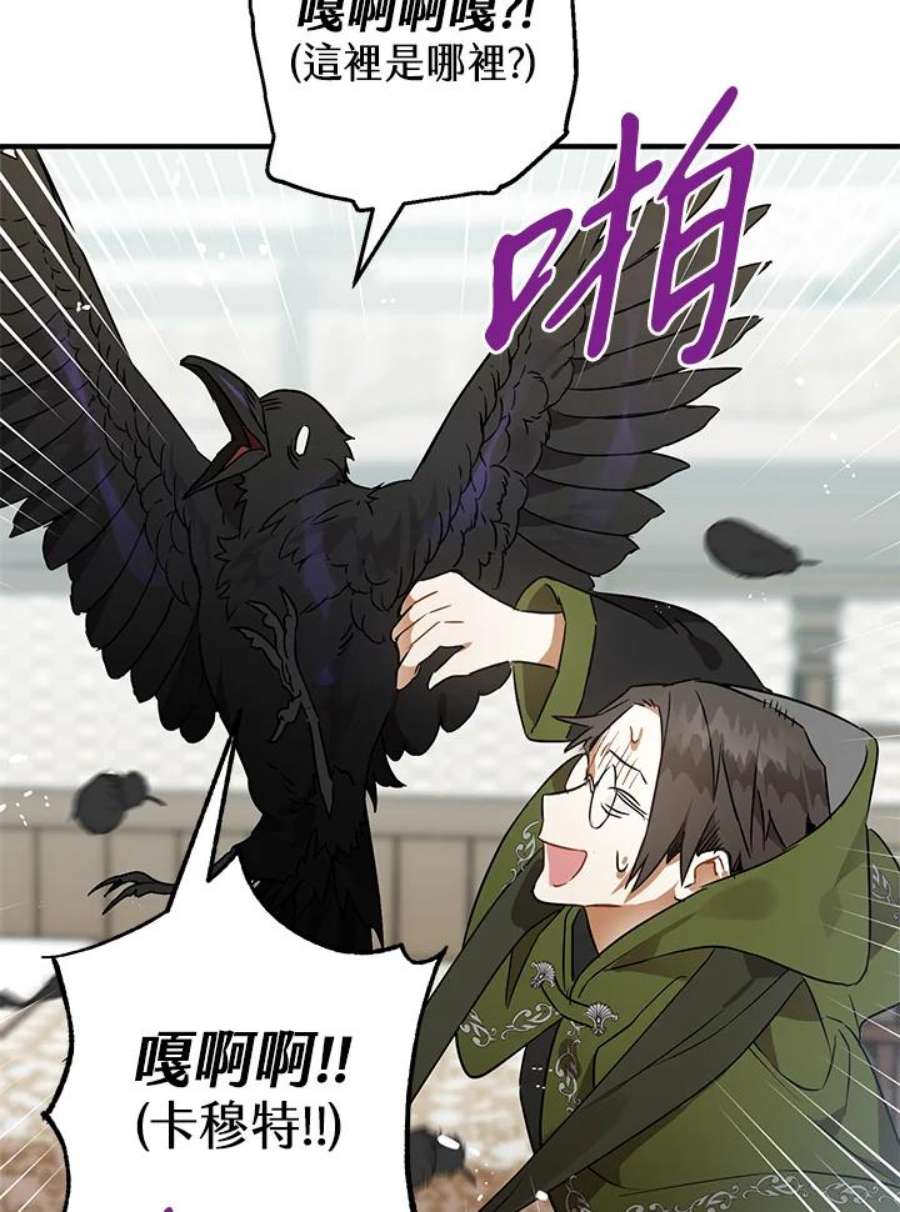 偏偏变成了乌鸦4话