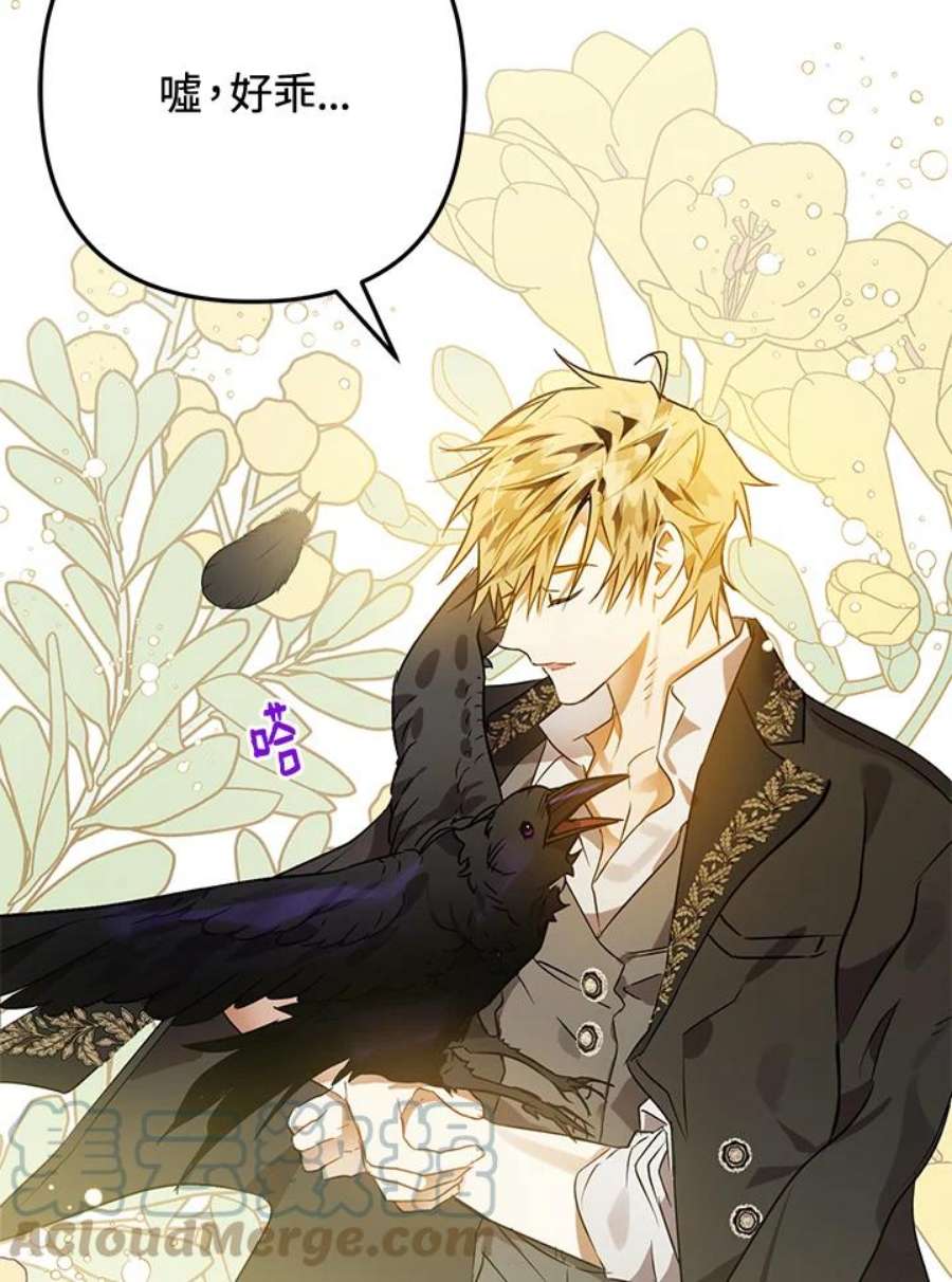 偏偏变成了乌鸦4话