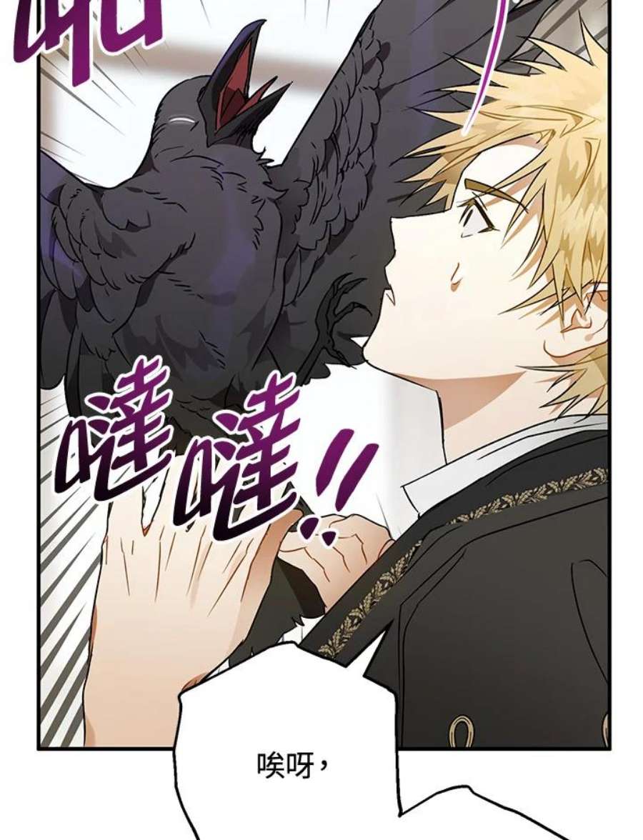 偏偏变成了乌鸦4话