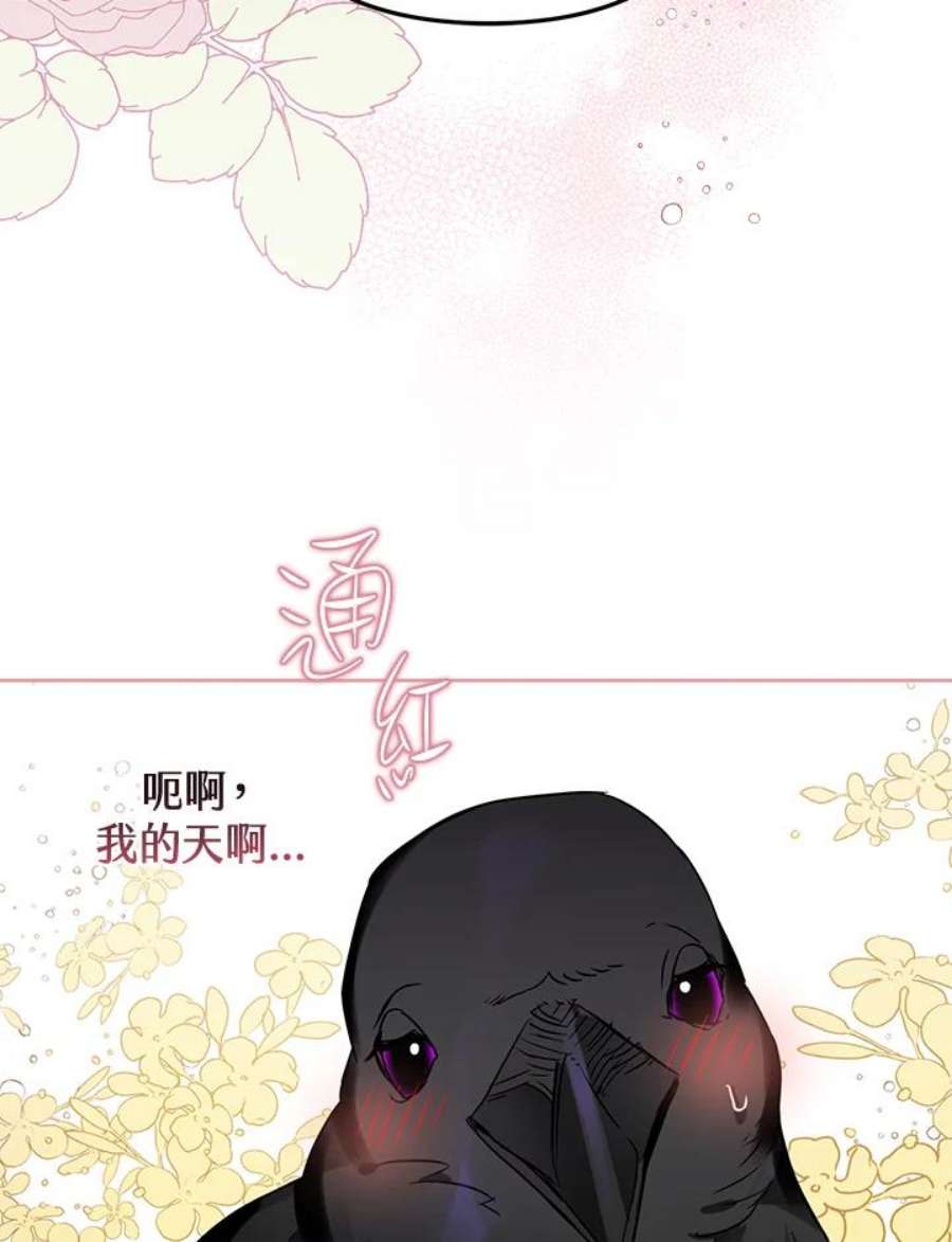 偏偏变成了乌鸦4话