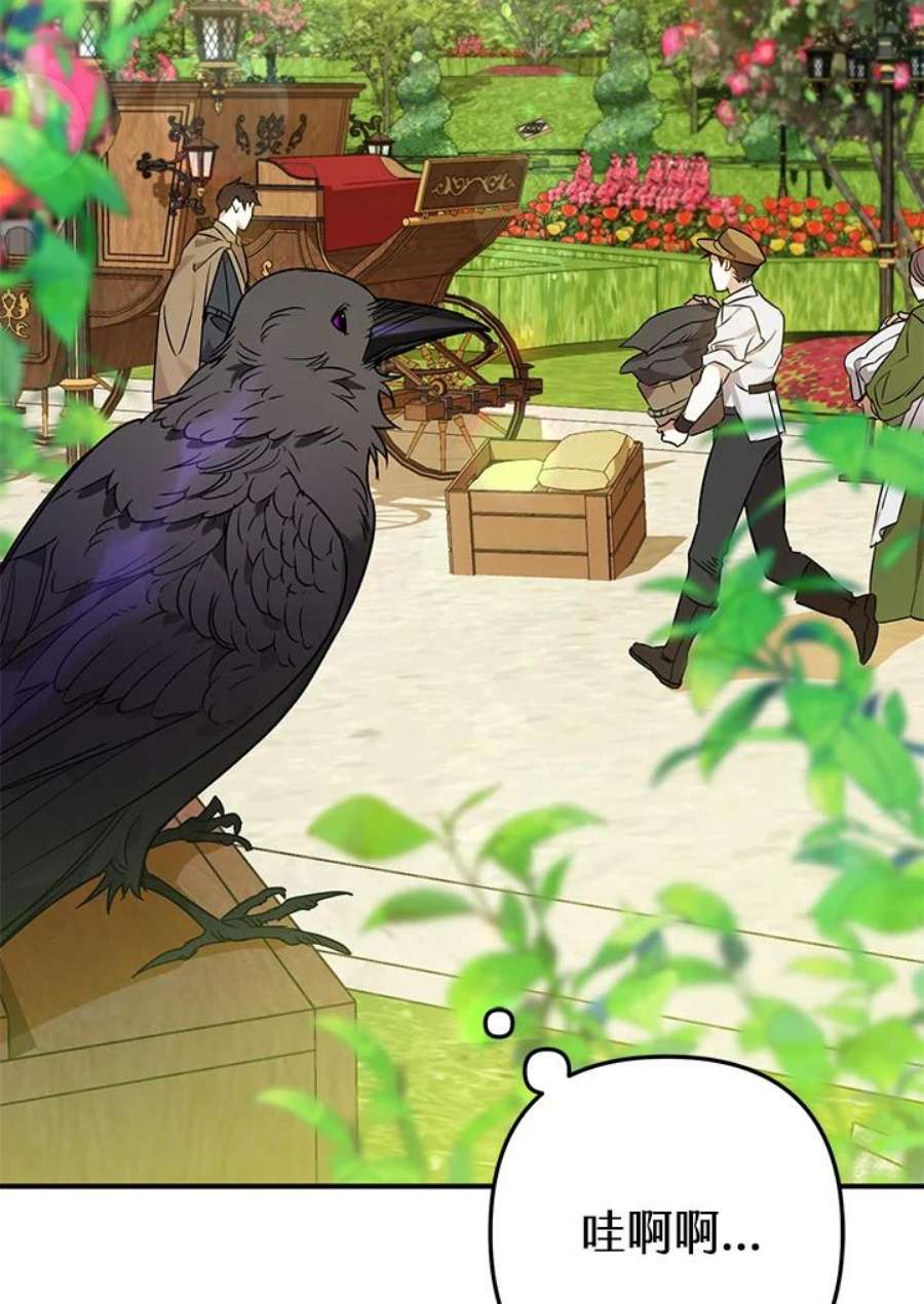 偏偏变成了乌鸦5话