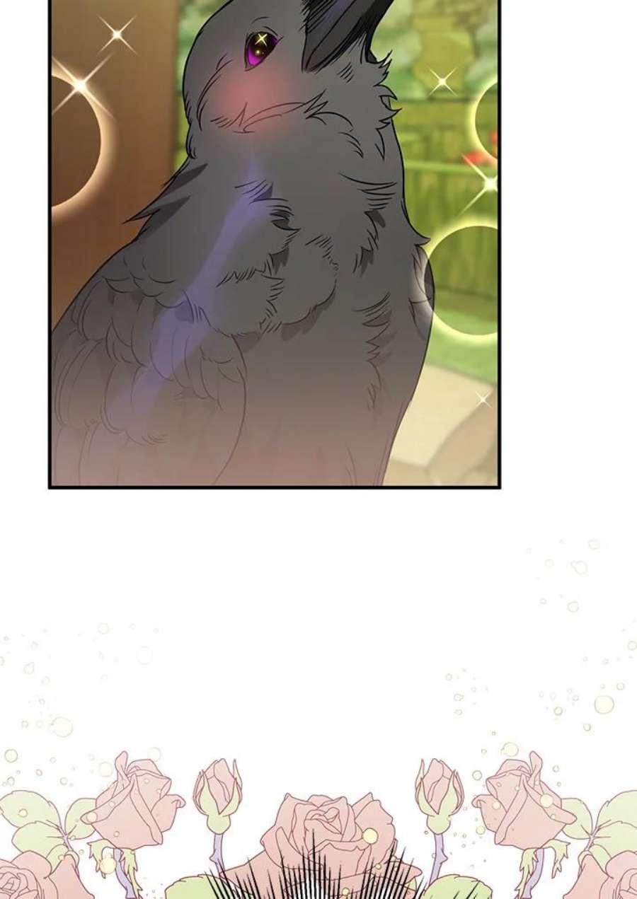 偏偏变成了乌鸦5话