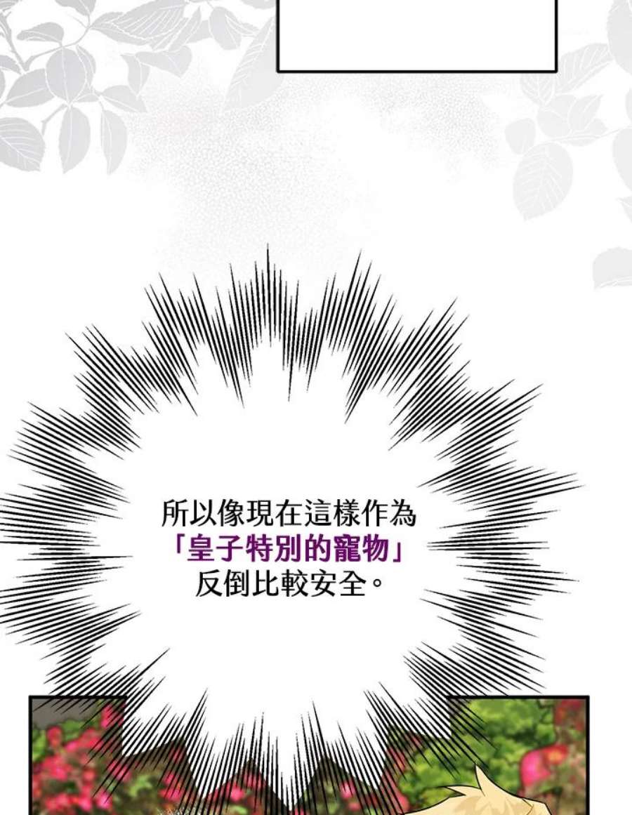 偏偏变成了乌鸦5话