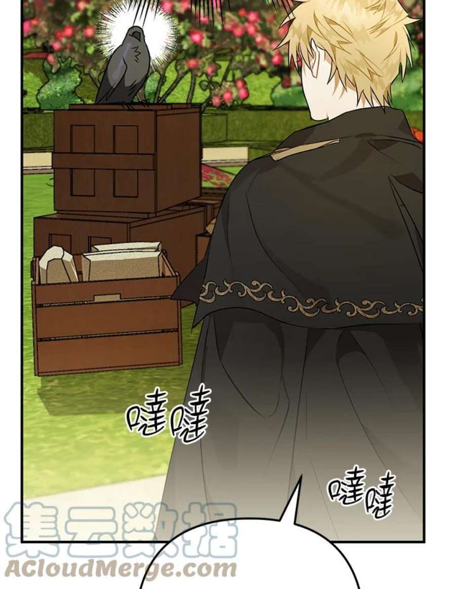 偏偏变成了乌鸦5话