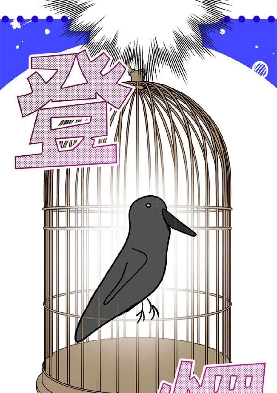 偏偏变成了乌鸦5话