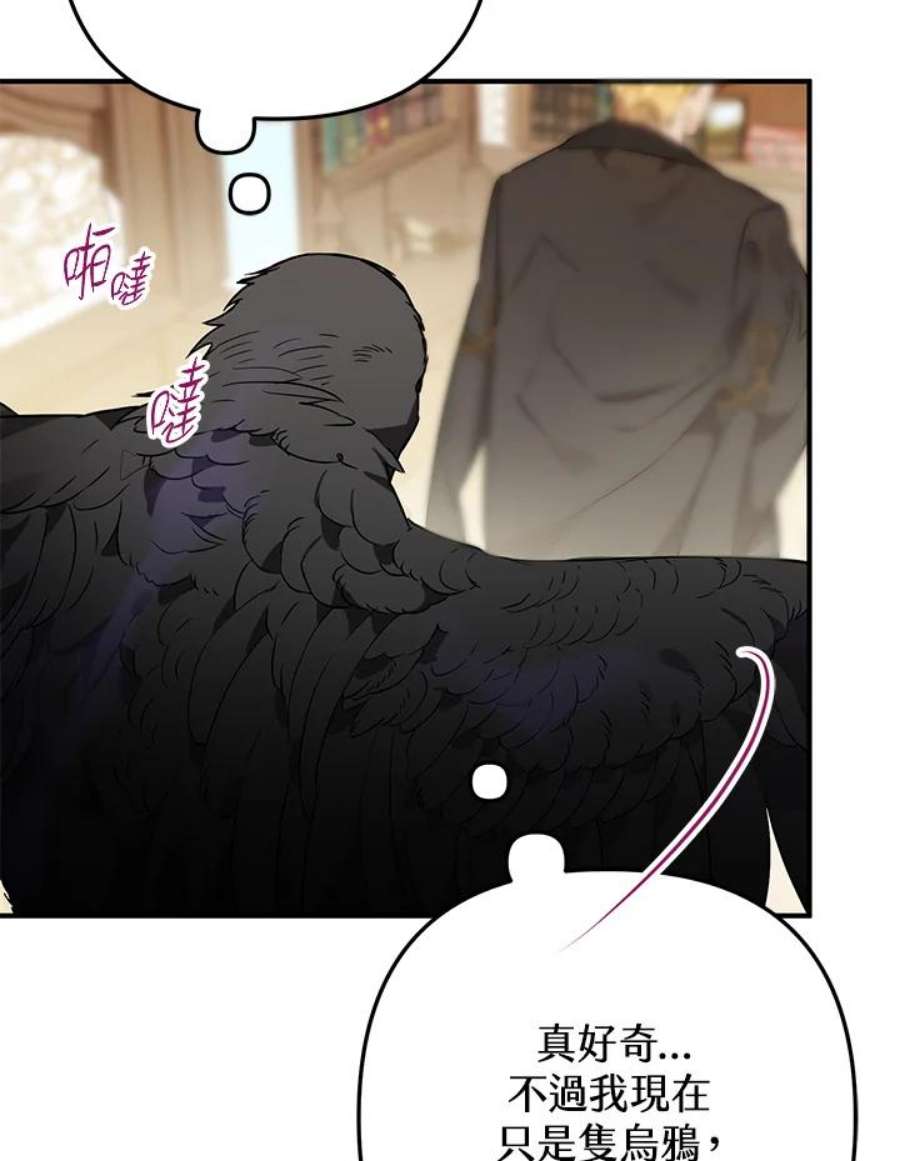 偏偏变成了乌鸦5话