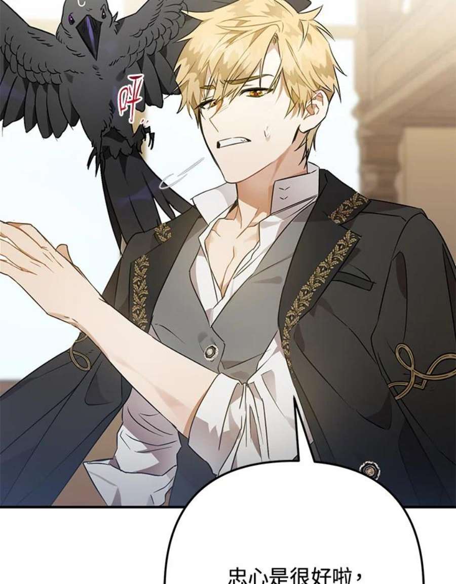 偏偏变成了乌鸦5话