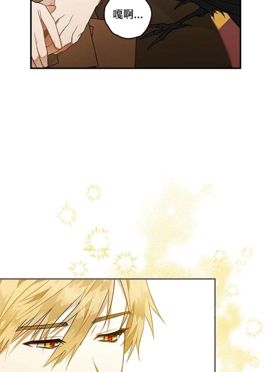 偏偏变成了乌鸦5话