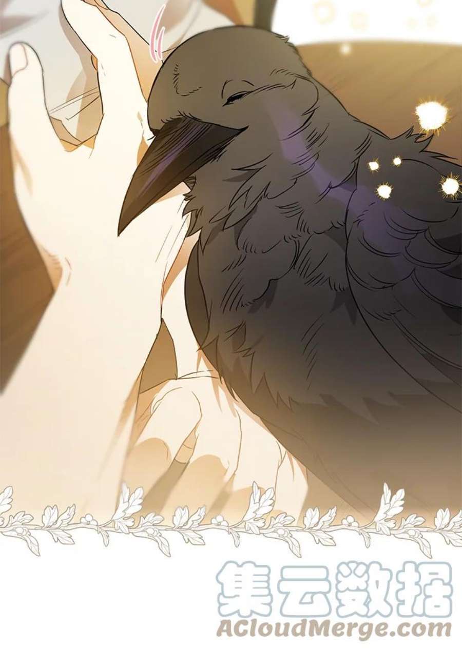 偏偏变成了乌鸦5话