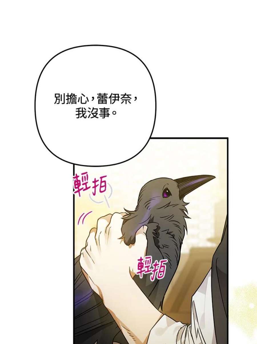 偏偏变成了乌鸦5话