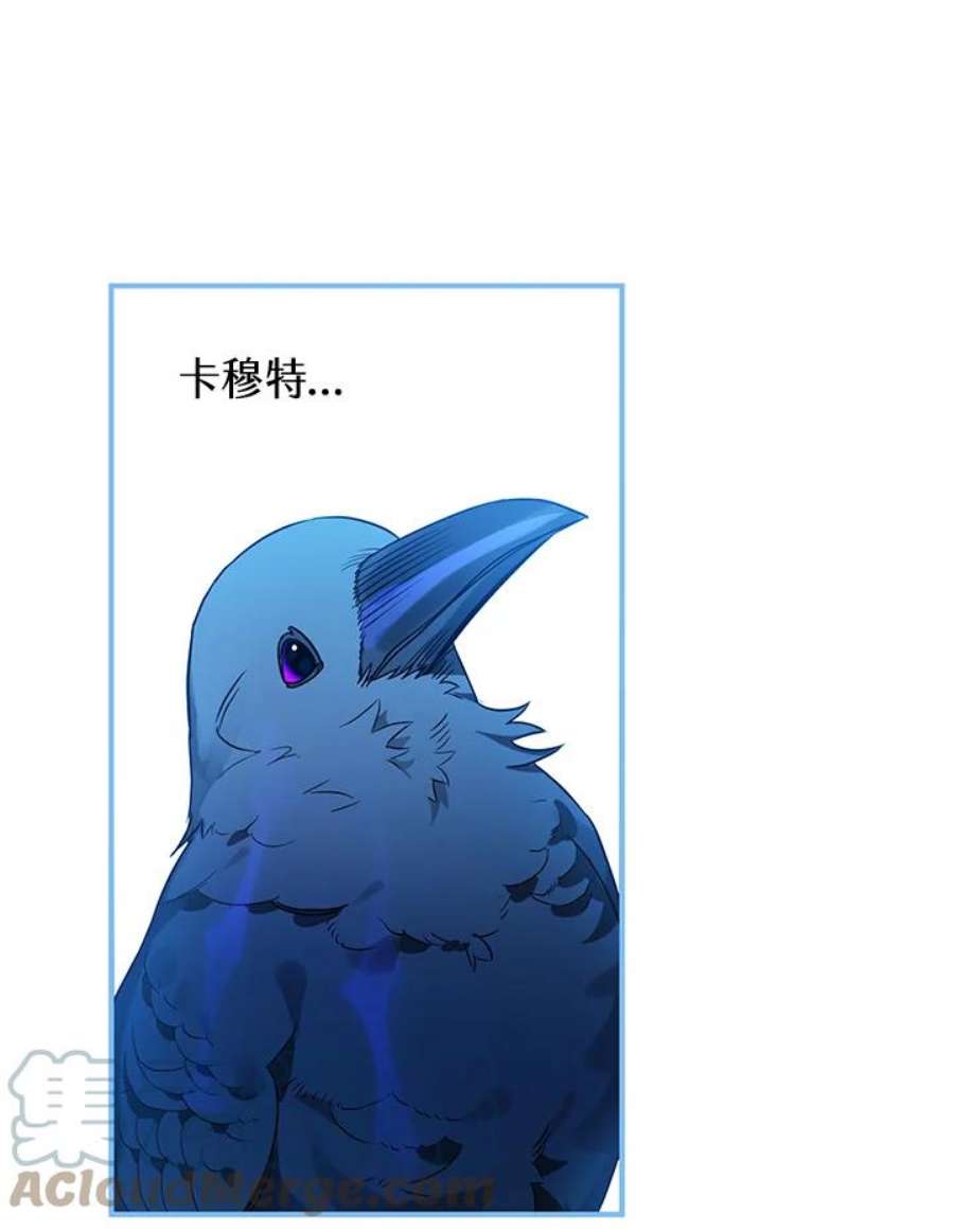 偏偏变成了乌鸦6话