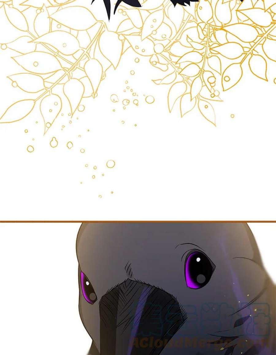 偏偏变成了乌鸦6话