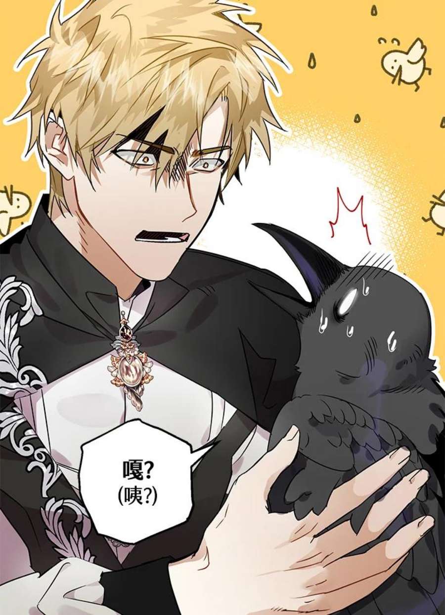 偏偏变成了乌鸦8话