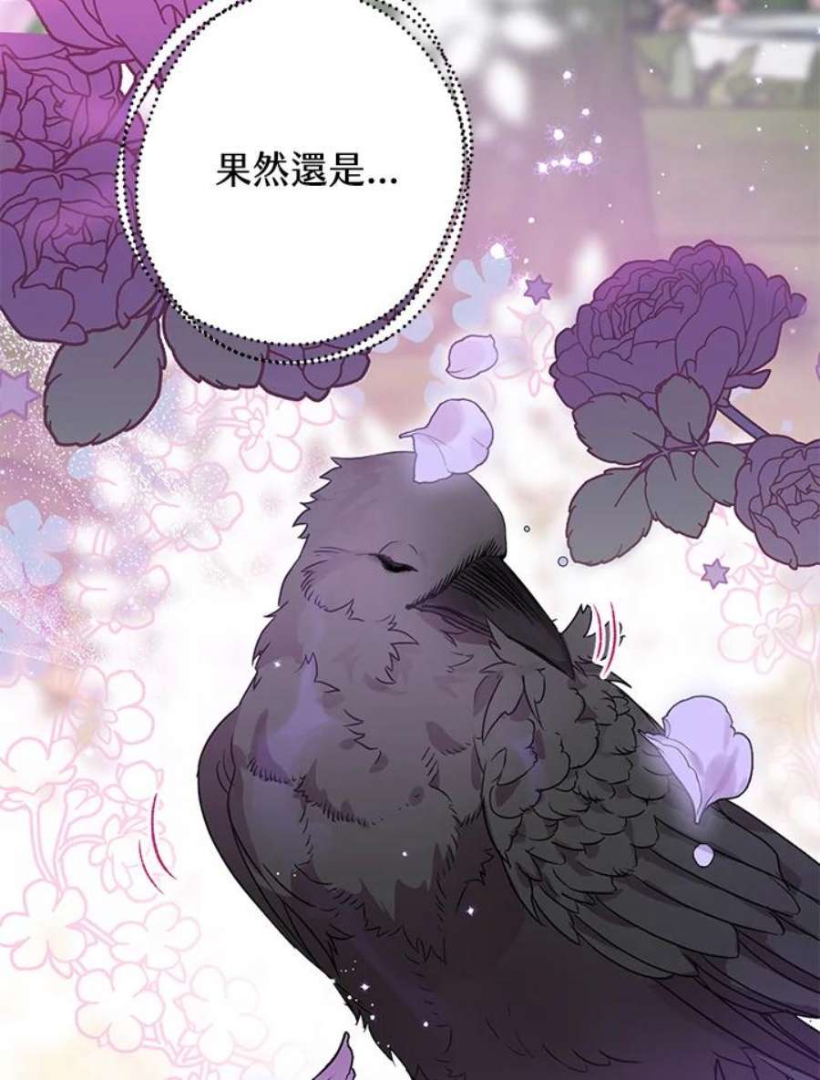 偏偏变成了乌鸦8话