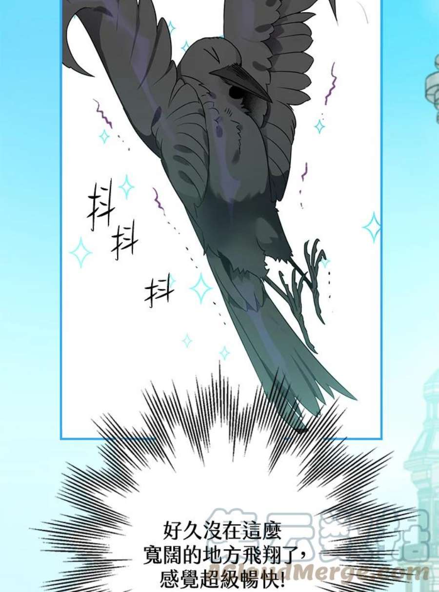 偏偏变成了乌鸦8话