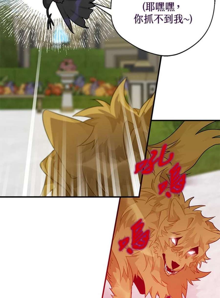 偏偏变成了乌鸦8话