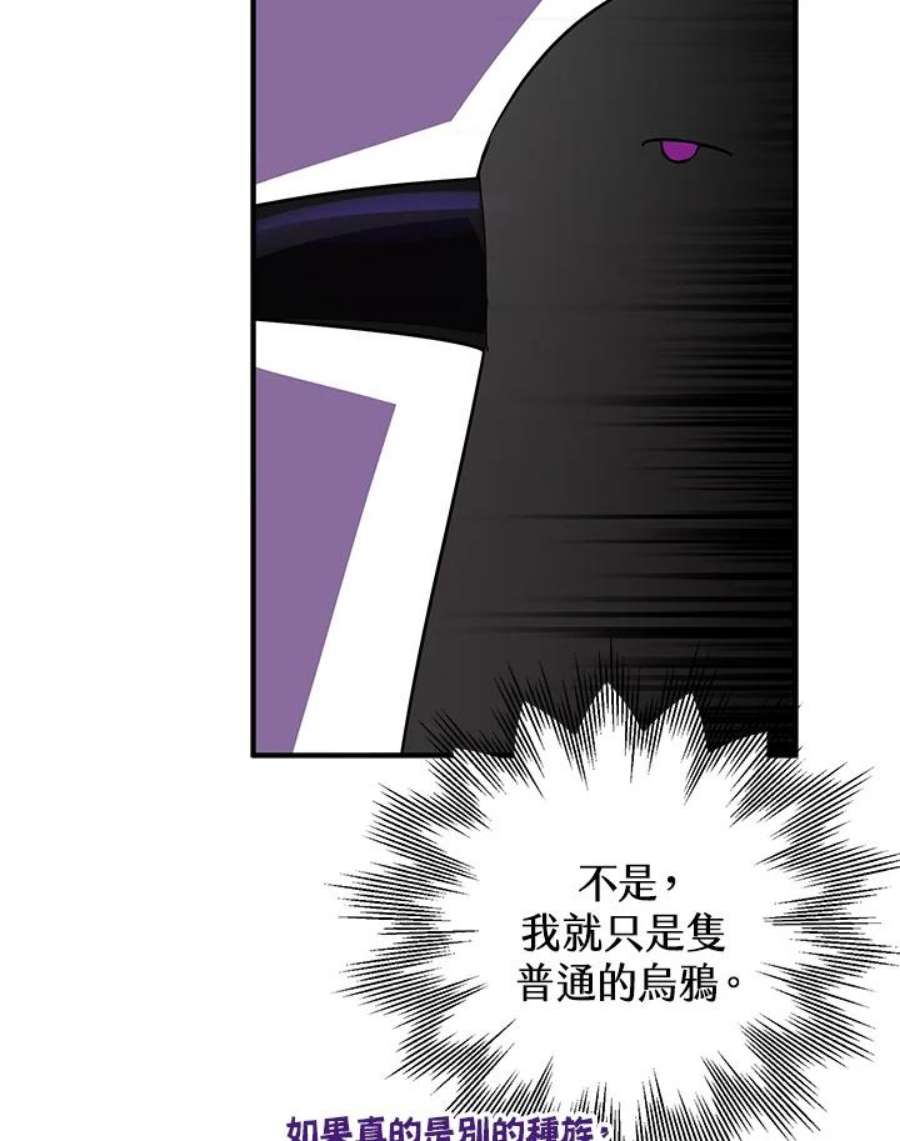 偏偏变成了乌鸦9话