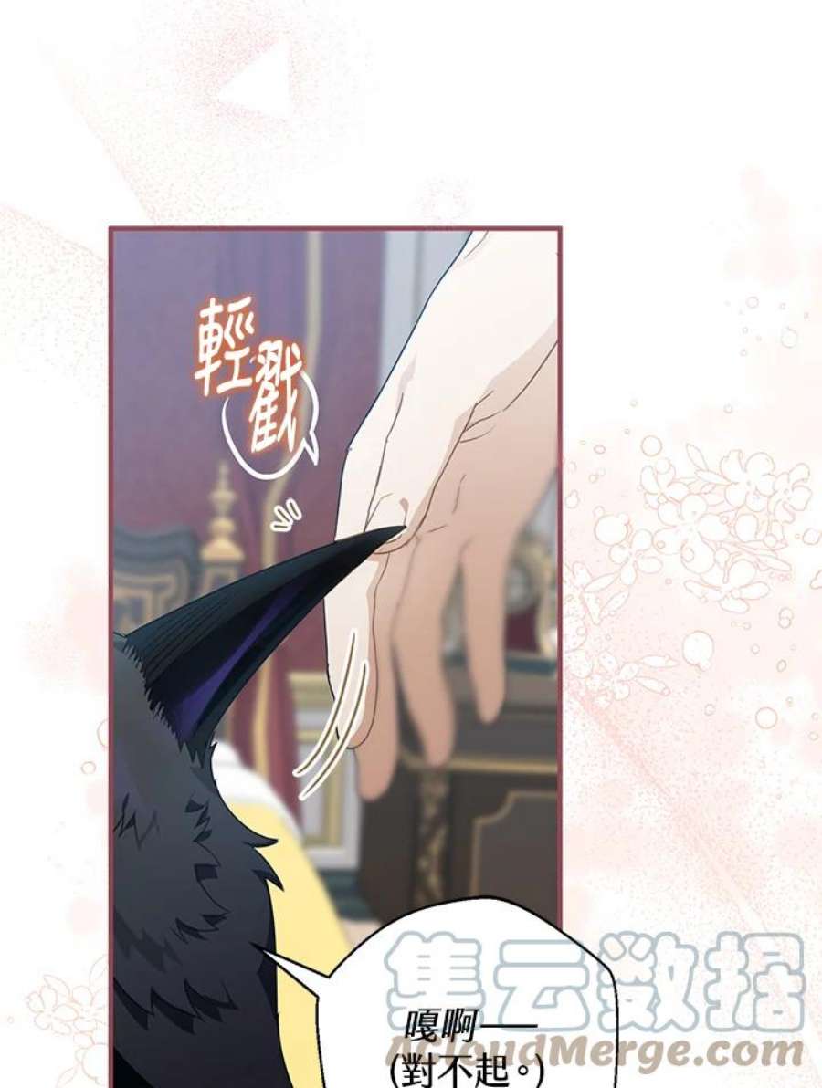 偏偏变成了乌鸦9话