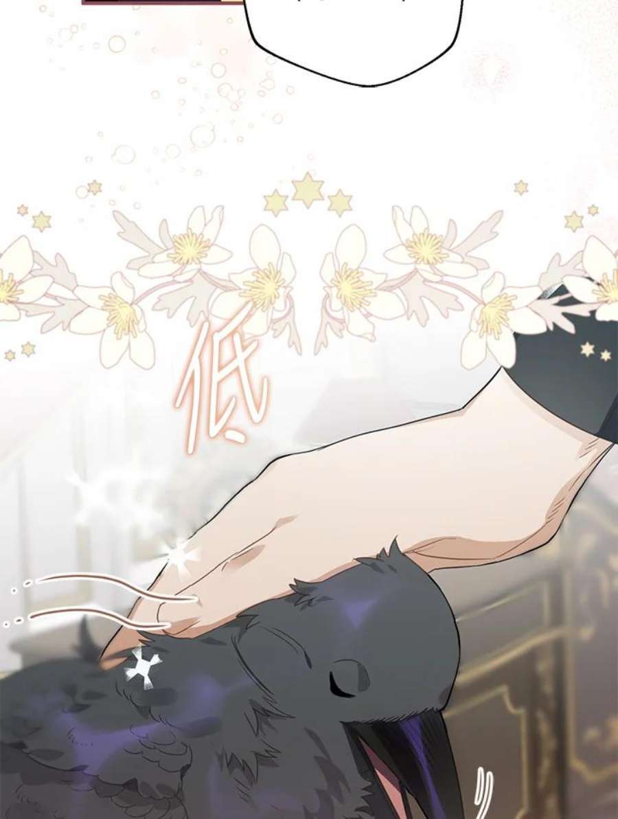 偏偏变成了乌鸦9话