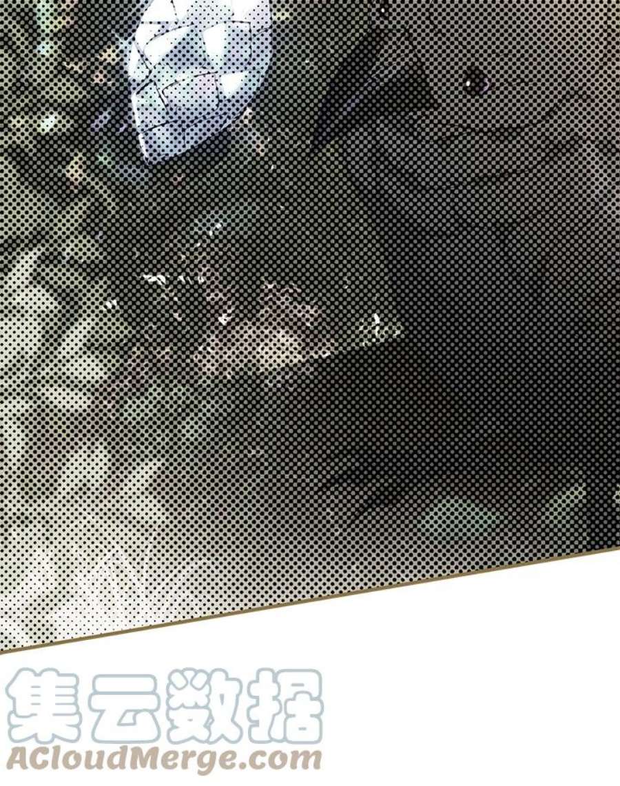 偏偏变成了乌鸦10话