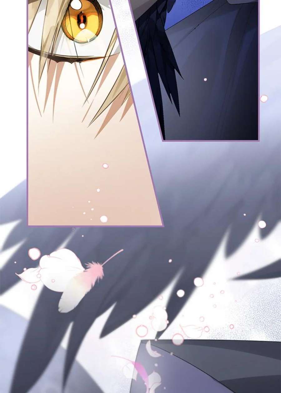 偏偏变成了乌鸦11话