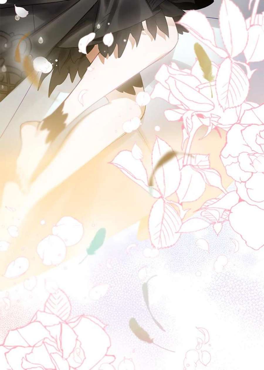 偏偏变成了乌鸦11话