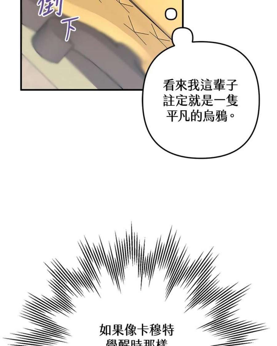 偏偏变成了乌鸦11话