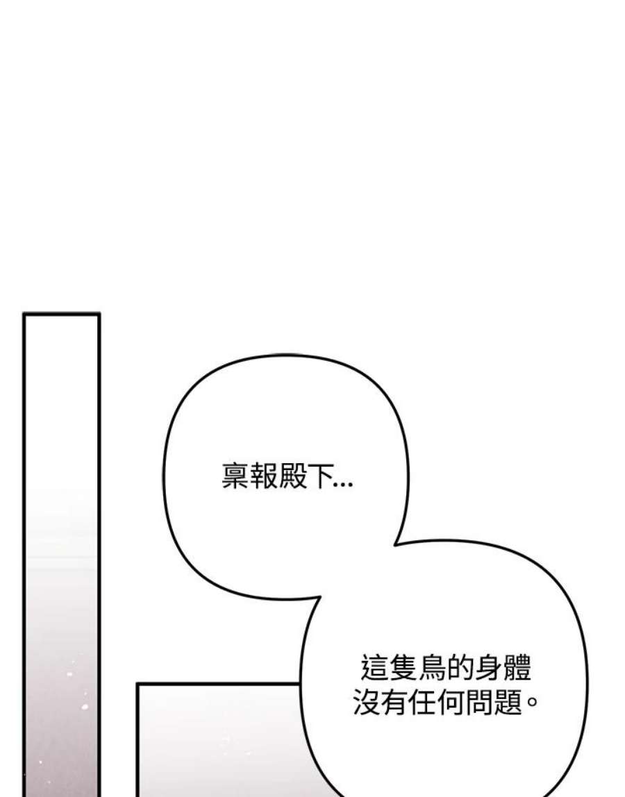 偏偏变成了乌鸦11话
