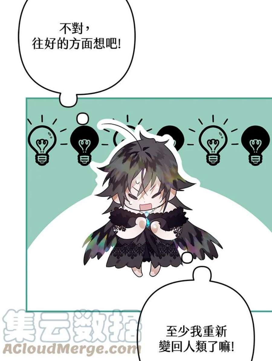 偏偏变成了乌鸦12话