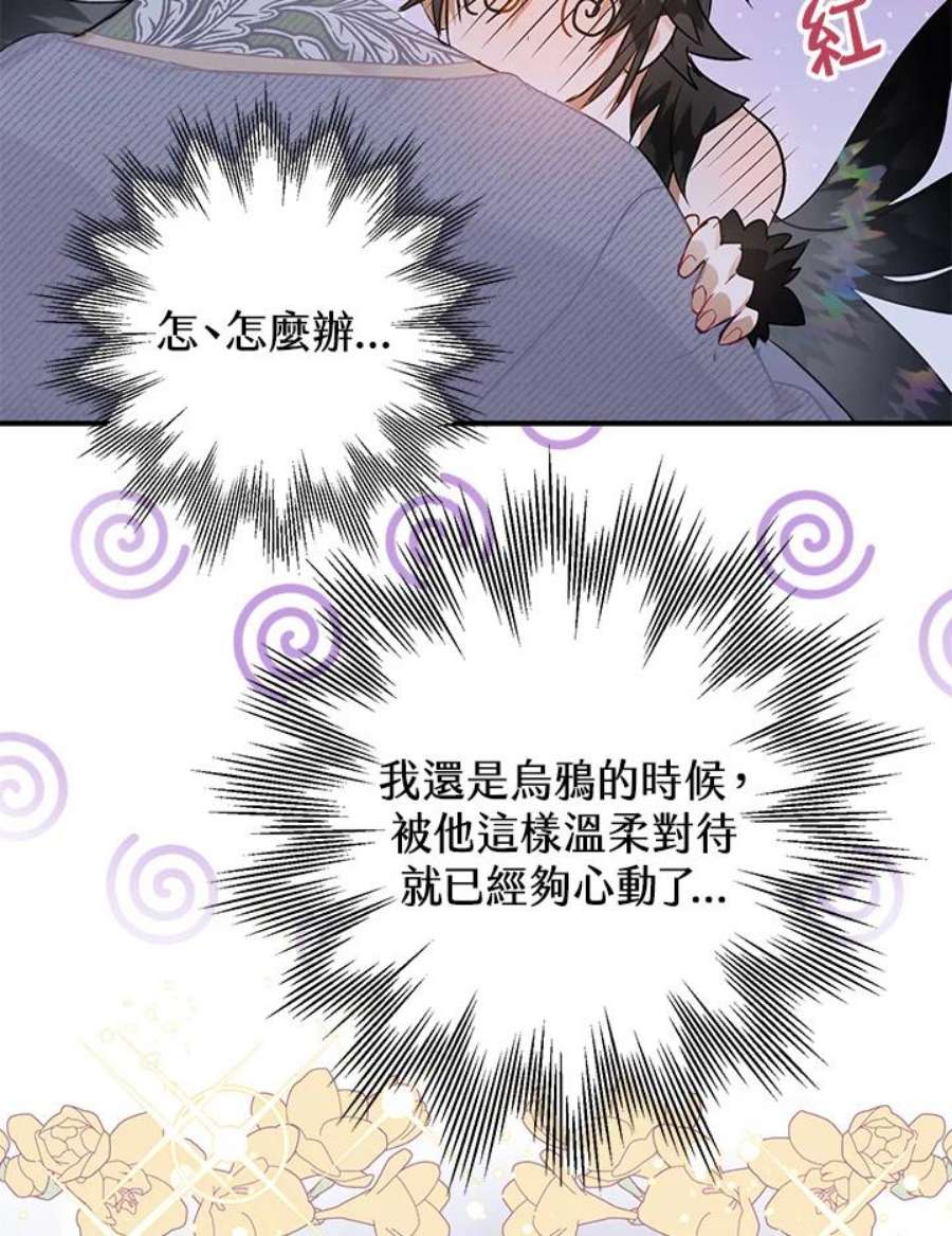 偏偏变成了乌鸦12话