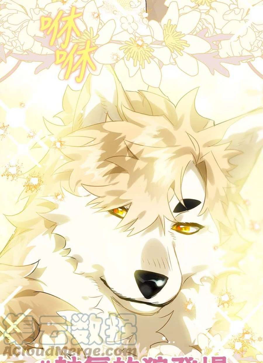 偏偏变成了乌鸦13话