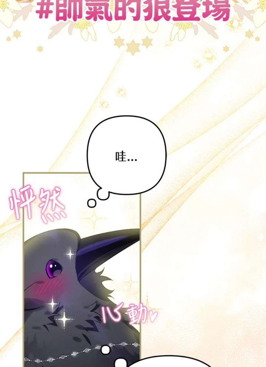 偏偏变成了乌鸦13话