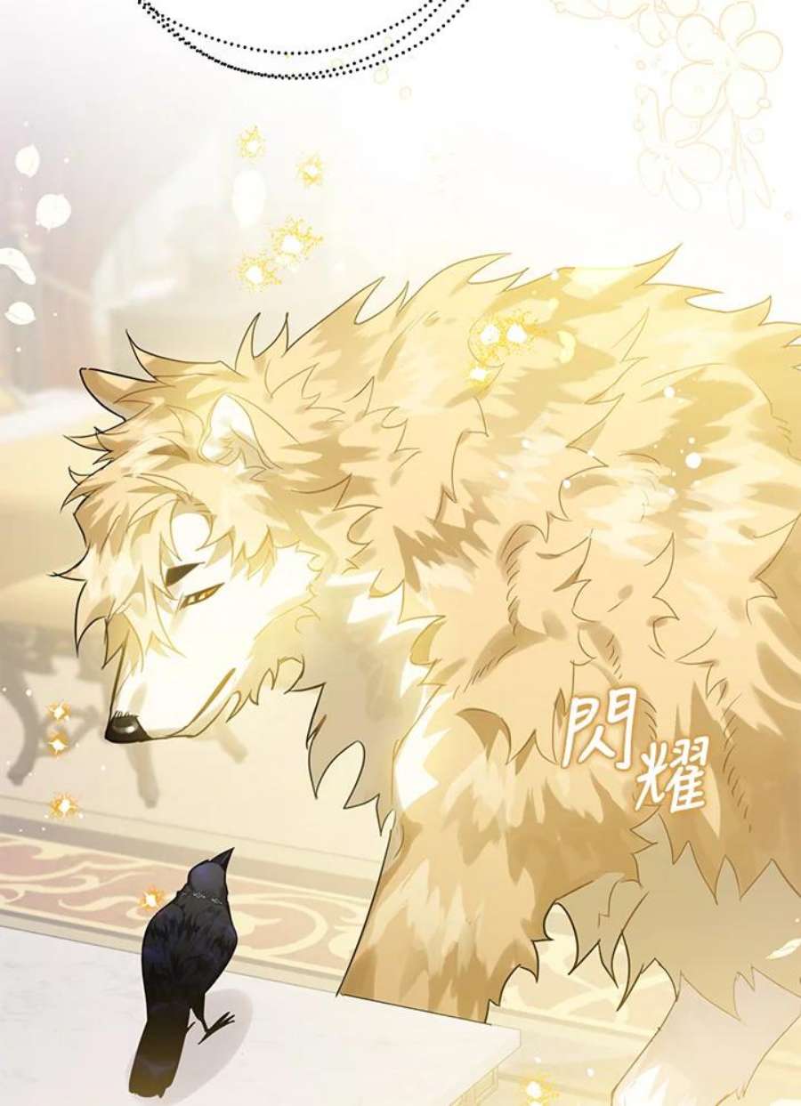 偏偏变成了乌鸦13话