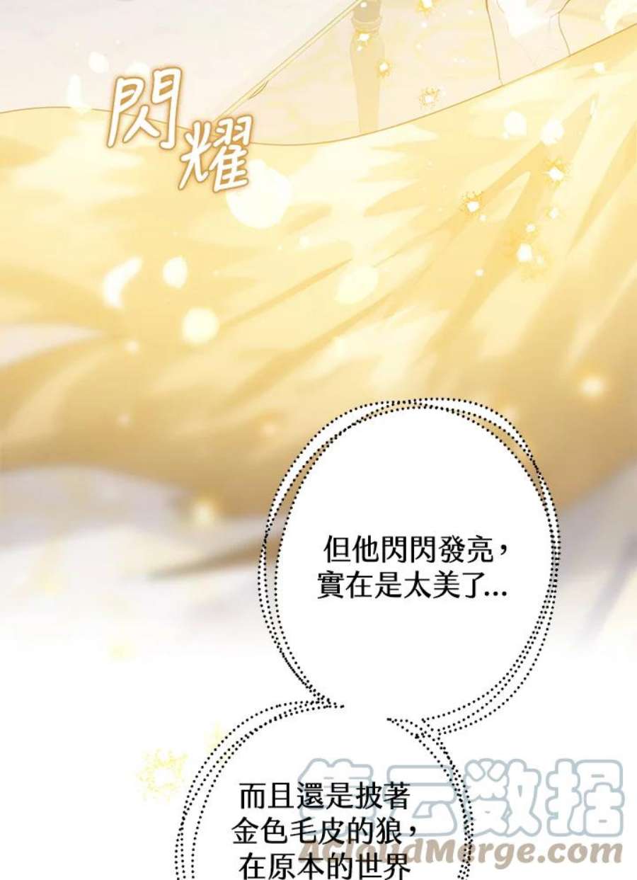 偏偏变成了乌鸦13话