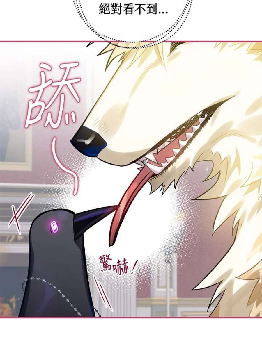 偏偏变成了乌鸦13话