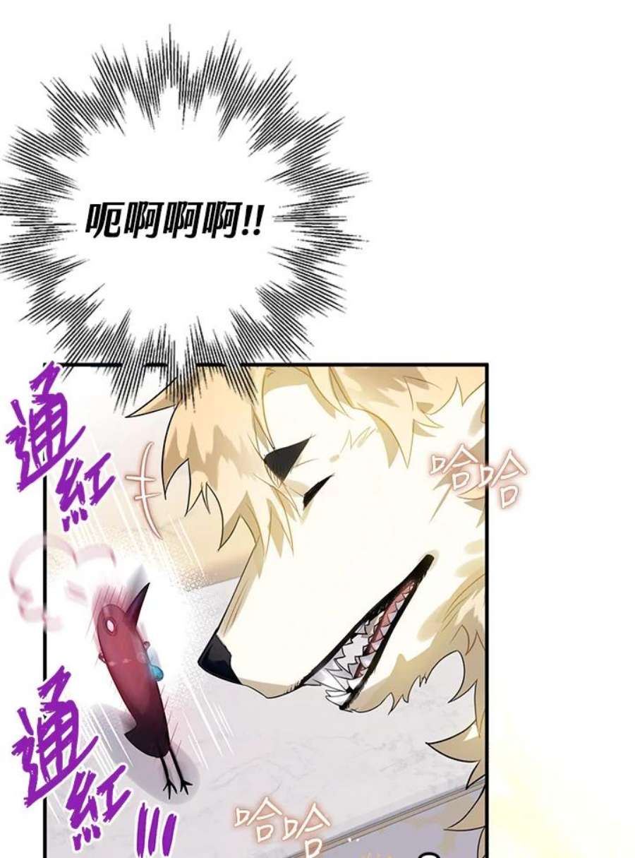 偏偏变成了乌鸦13话