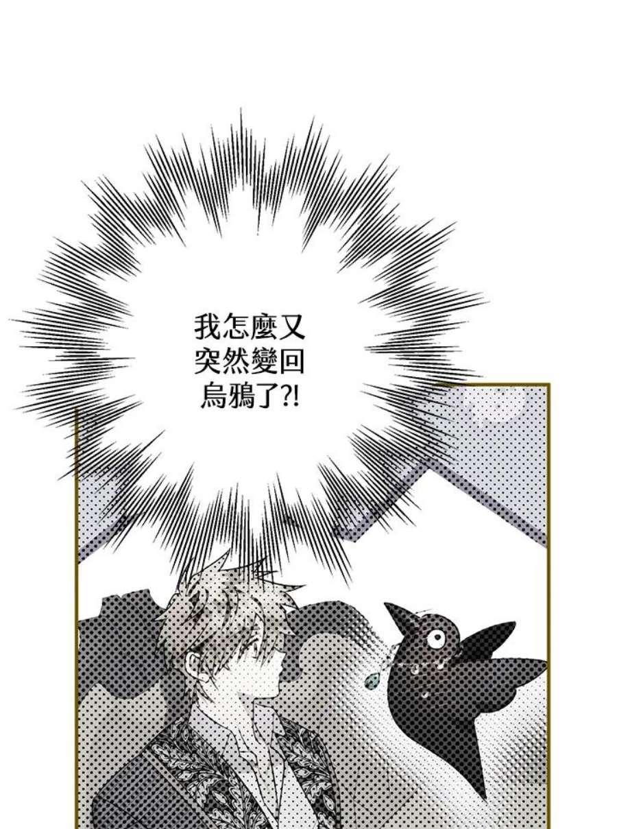 偏偏变成了乌鸦13话