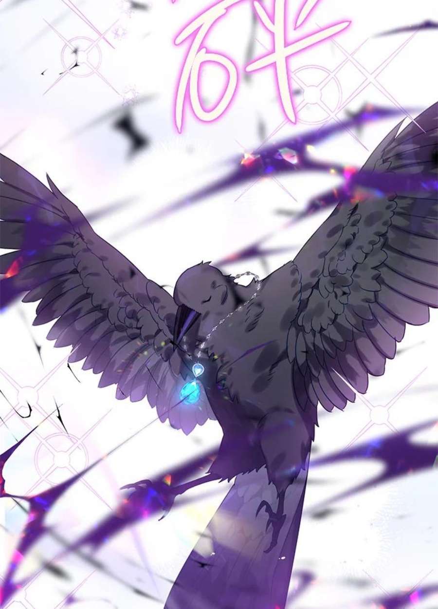 偏偏变成了乌鸦13话