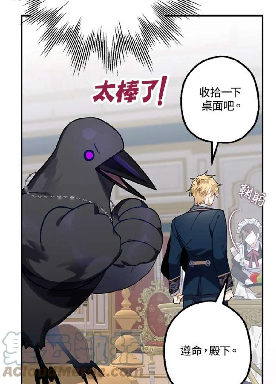 偏偏变成了乌鸦13话