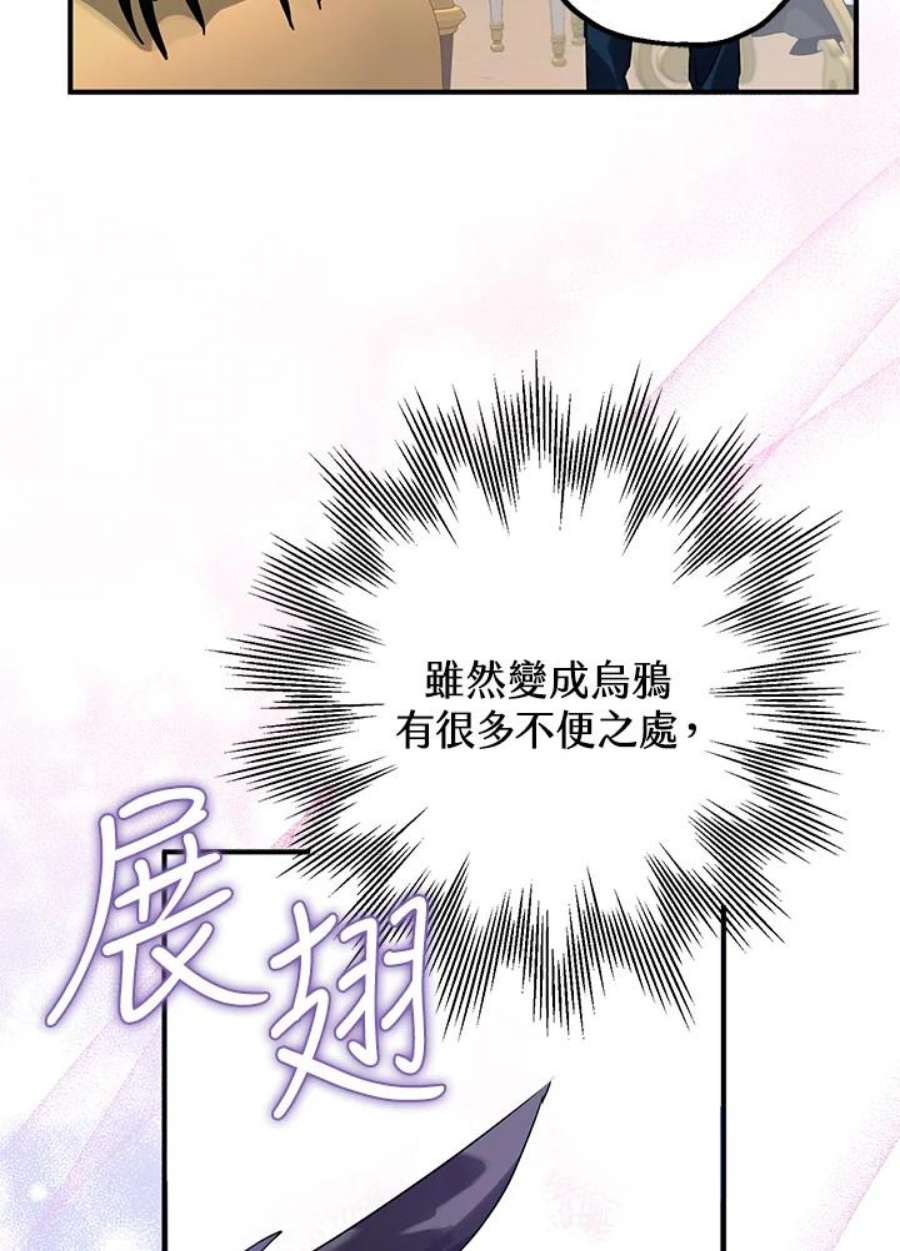 偏偏变成了乌鸦13话