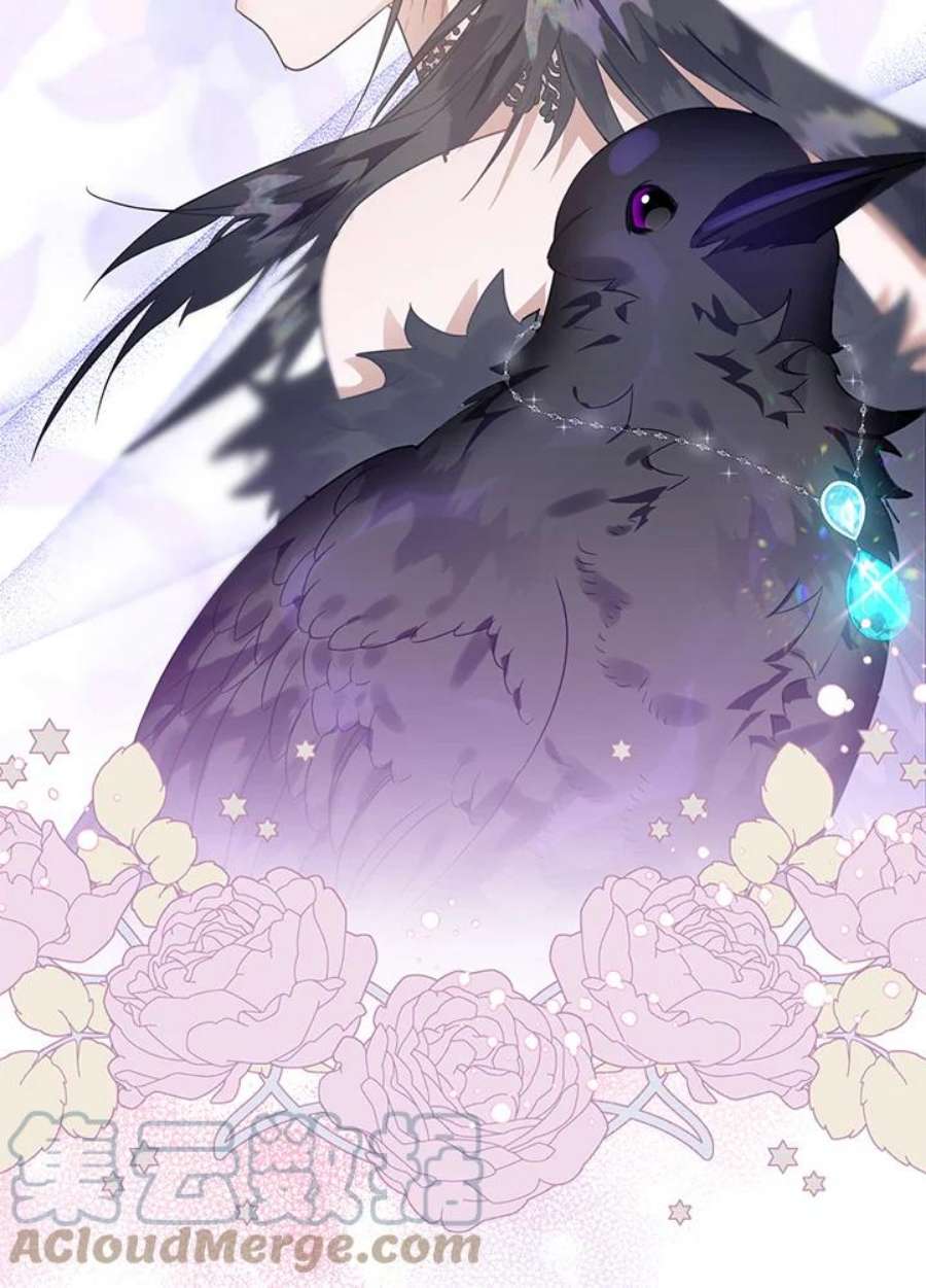 偏偏变成了乌鸦13话