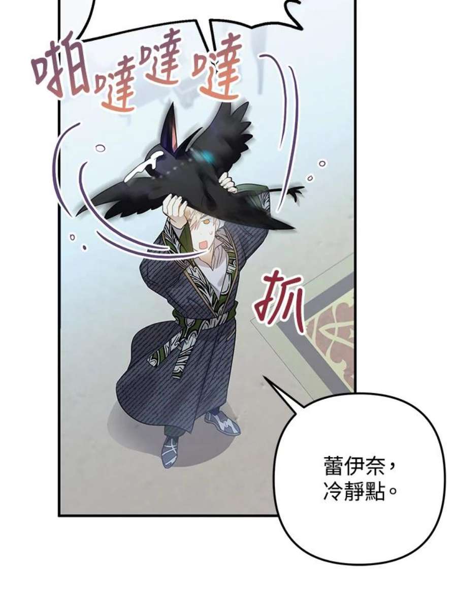 偏偏变成了乌鸦13话