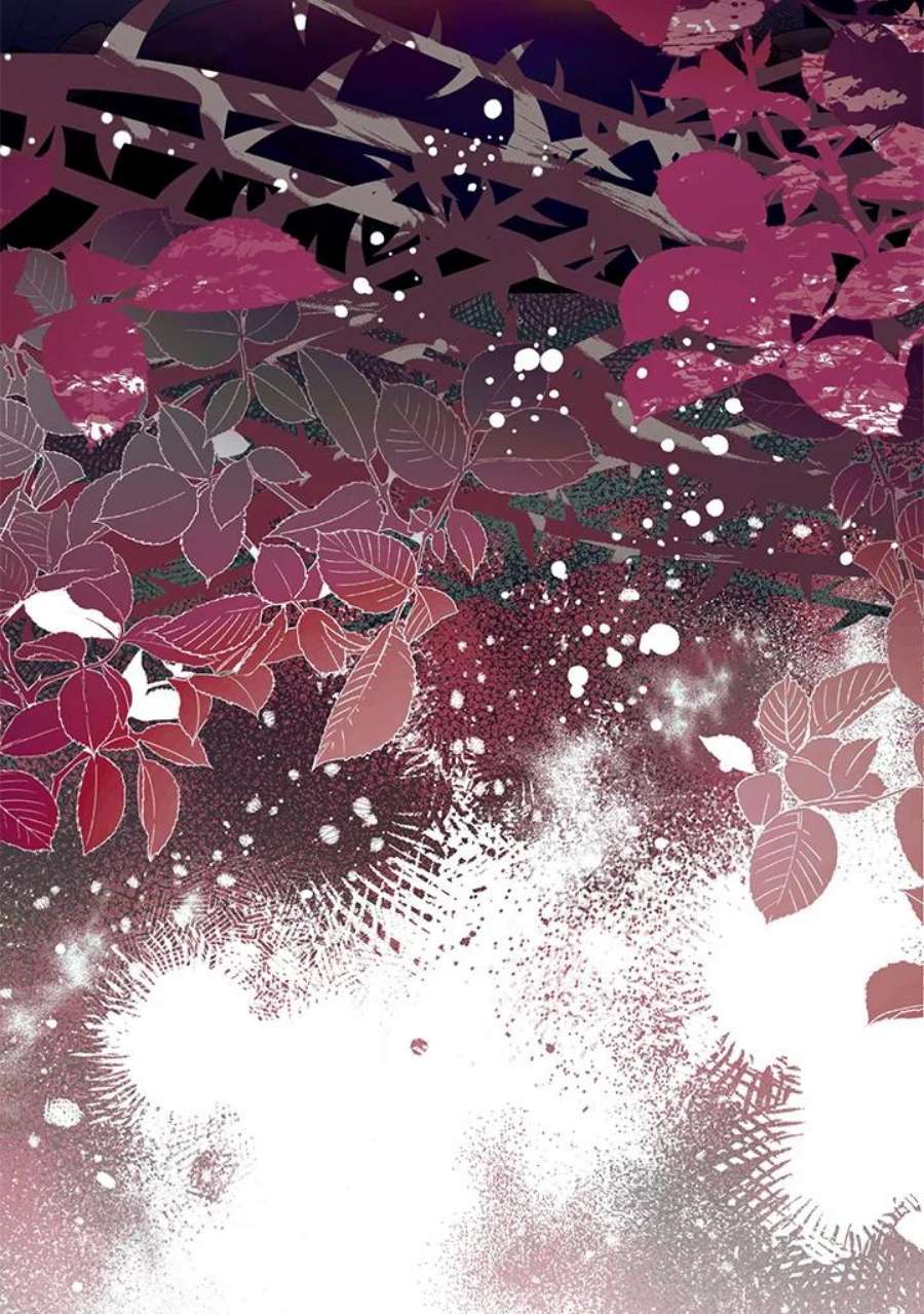 偏偏变成了乌鸦13话