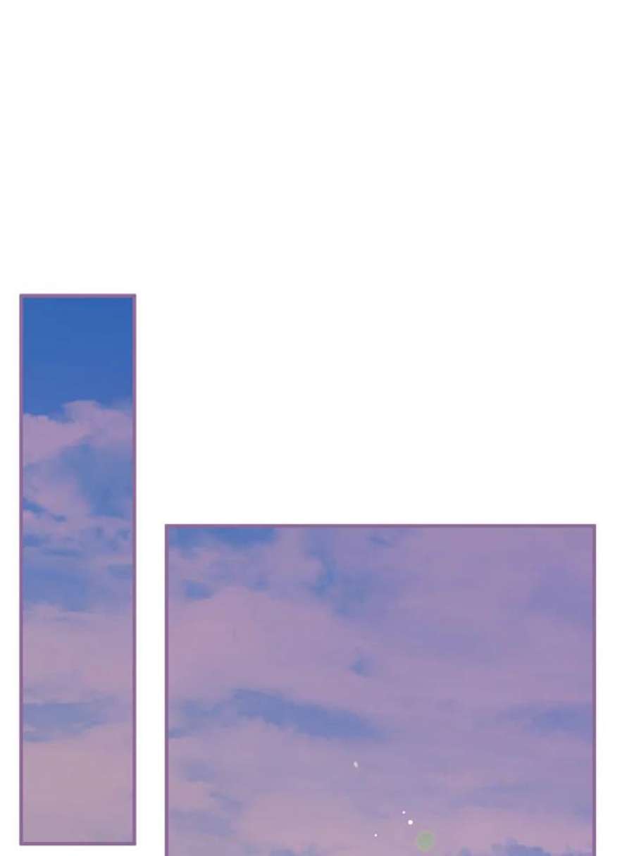 偏偏变成了乌鸦14话